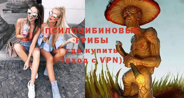 Альфа ПВП Новозыбков