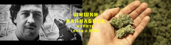 МДПВ Новокубанск
