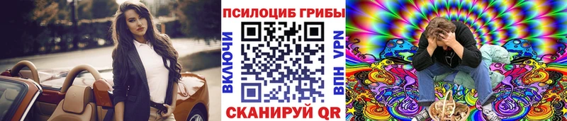 Купить закладки  Боготол  Галлюциногенные грибы Cubensis 